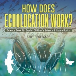 How Does Echolocation Work? Science Book 4th Grade | Children's Science & Nature Books