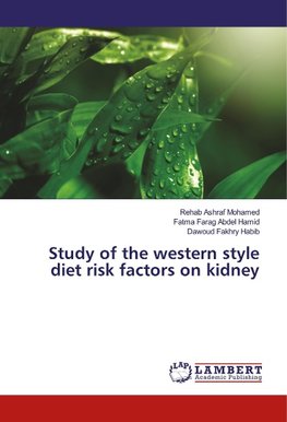 Study of the western style diet risk factors on kidney