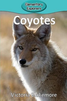 Coyotes