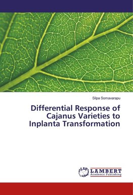 Differential Response of Cajanus Varieties to Inplanta Transformation