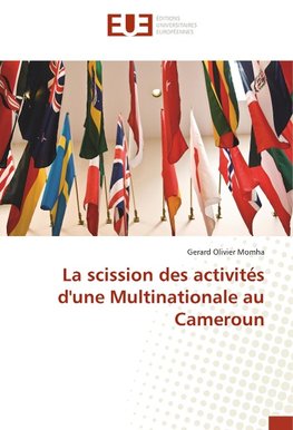 La scission des activités d'une Multinationale au Cameroun