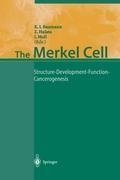 The Merkel Cell