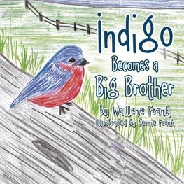 Indigo Becomes a Big Brother