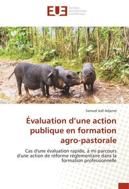 Évaluation d'une action publique en formation agro-pastorale