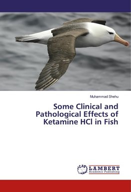 Some Clinical and Pathological Effects of Ketamine HCl in Fish