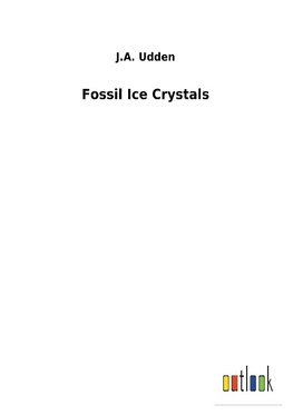 Fossil Ice Crystals