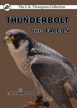 Thunderbolt the Falcon