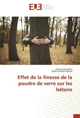 Effet de la finesse de la poudre de verre sur les bétons