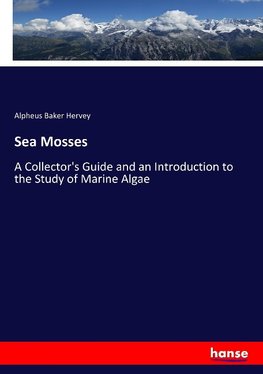 Sea Mosses