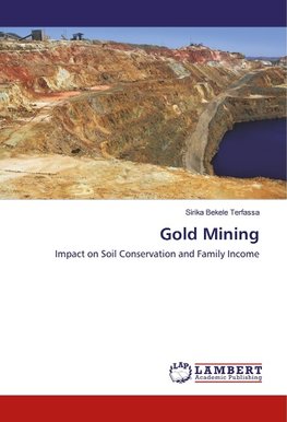 Gold Mining