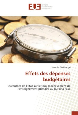 Effets des dépenses budgétaires