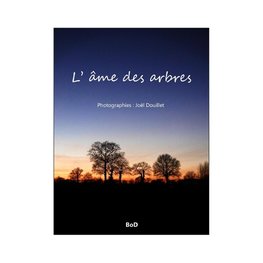 L' âme des arbres