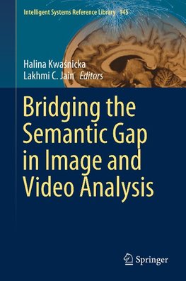 Bridging the Semantic Gap in Image and Video Analysis