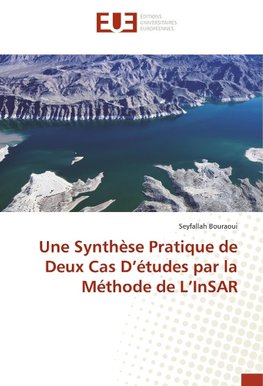 Une Synthèse Pratique de Deux Cas D'études par la Méthode de L'InSAR