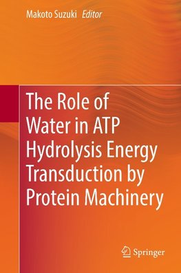 The Role of Water in ATP Hydrolysis Energy Transduction by Protein Machinery