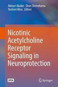 Nicotinic acetylcholine receptor signaling