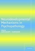 Neurodevelopmental Mechanisms in             Psychopathology