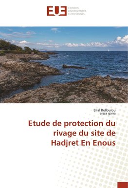 Etude de protection du rivage du site de Hadjret En Enous