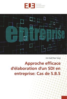 Approche efficace d'élaboration d'un SDI en entreprise: Cas de S.B.S