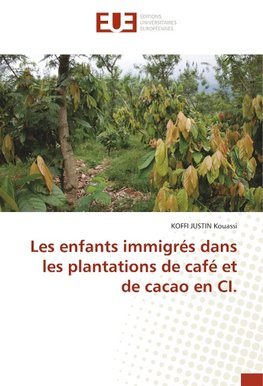 Les enfants immigrés dans les plantations de café et de cacao en CI.