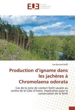 Production d'igname dans les jachères à Chromolaena odorata