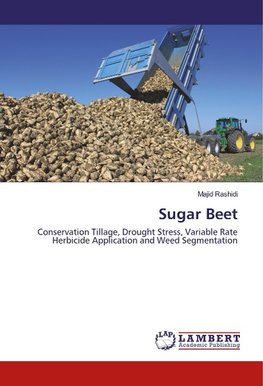 Sugar Beet