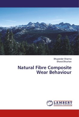 Natural Fibre Composite Wear Behaviour