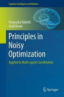 Principles in Noisy Optimization