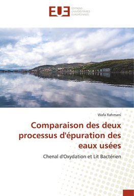 Comparaison des deux processus d'épuration des eaux usées