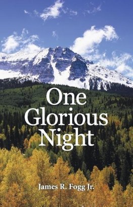 One Glorious Night