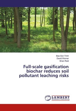 Full-scale gasification biochar reduces soil pollutant leaching risks