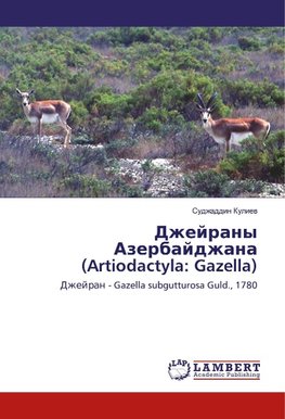 Dzhejrany Azerbajdzhana (Artiodactyla: Gazella)