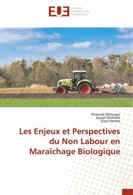 Les Enjeux et Perspectives du Non Labour en Maraîchage Biologique