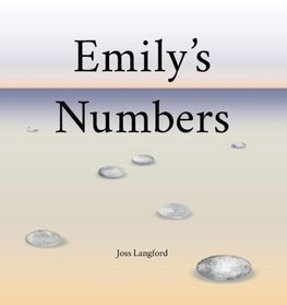 Emily's Numbers