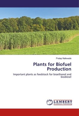 Plants for Biofuel Production