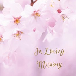 In Loving Memory Funeral Guest Book, Celebration of Life, Wake, Loss, Memorial Service, Condolence Book, Church, Funeral Home, Thoughts and In Memory Guest Book (Hardback)