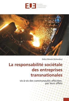 La responsabilité sociétale des entreprises transnationales