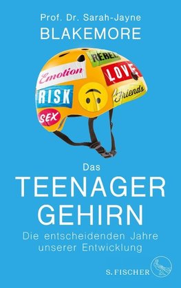 Das Teenager-Gehirn