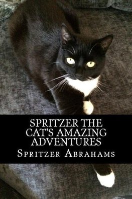 Spritzer The Cat's Amazing Adventures