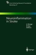 Neuroinflammation in Stroke