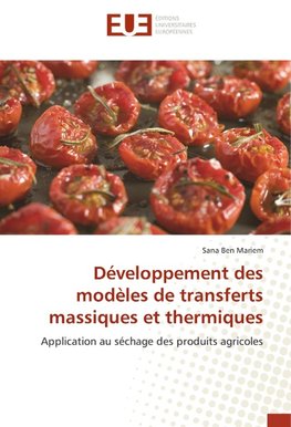 Développement des modèles de transferts massiques et thermiques