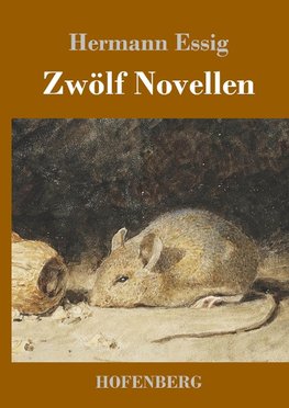 Zwölf Novellen