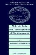 Molecular Basis and Thermodynamics of Bioelectrogenesis