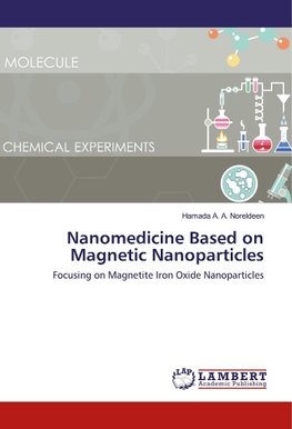 Nanomedicine Based on Magnetic Nanoparticles