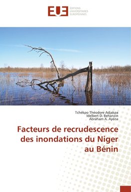 Facteurs de recrudescence des inondations du Niger au Bénin