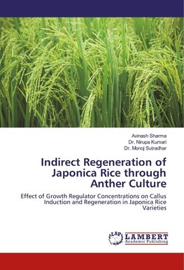 Indirect Regeneration of Japonica Rice through Anther Culture