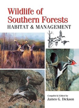 Wildlife of Southern Forests