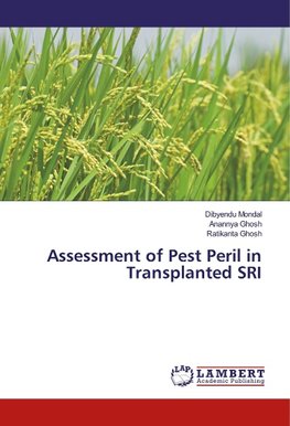 Assessment of Pest Peril in Transplanted SRI