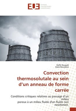 Convection thermosolutale au sein d'un anneau de forme carrée