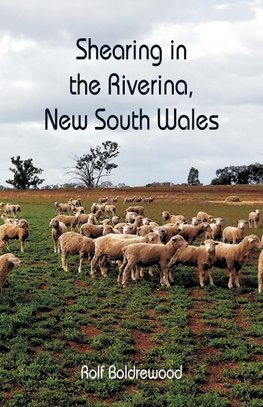 Shearing in the Riverina, New South Wales